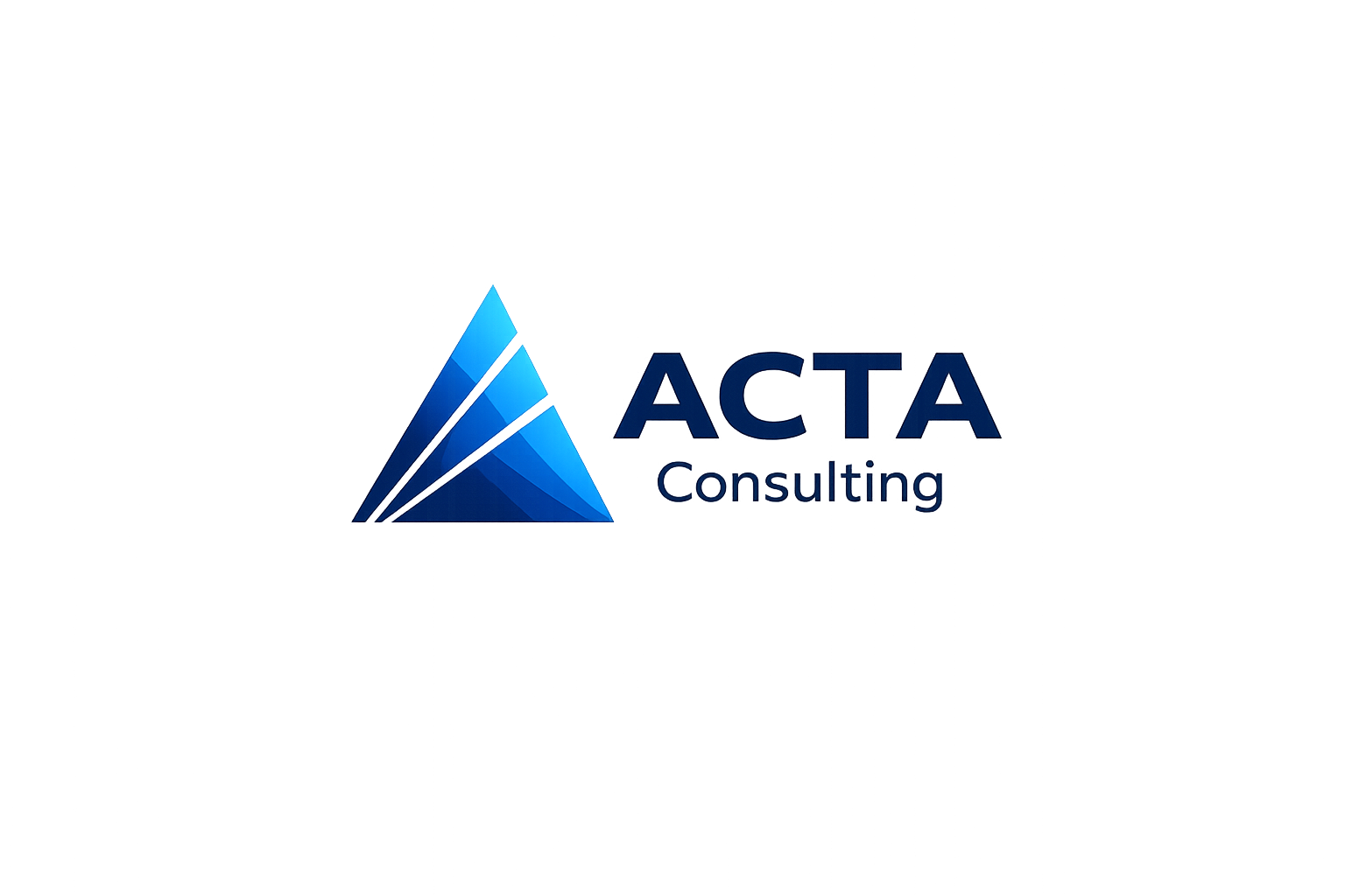 LOGO ACTA CONSULTING